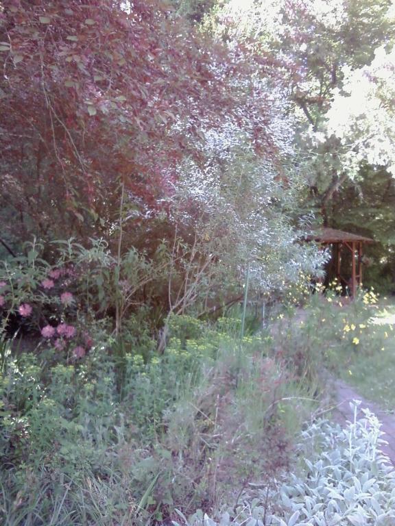 Fairview Manor Bed And Breakfast Ben Lomond Экстерьер фото
